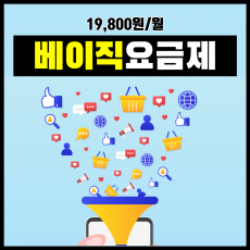 베이직 요금제(월간)