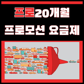 프로 20개월 프로모션 요금제 (70%할인)