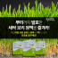 간청고비당 플러스 실속형 90+20팩 (총110팩) 뿌리까지 통째로 발효한 새삭보리 원액
